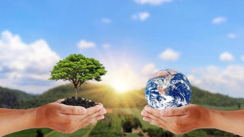 World Environment Day 2023