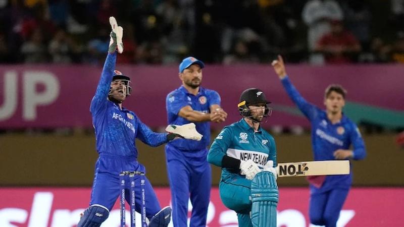 Afghanistan upset New Zealand at T20 World Cup 2024