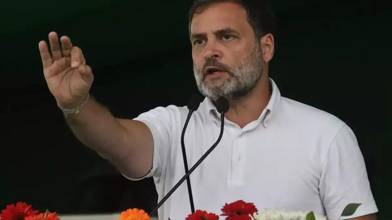 Over Rahul Gandhi's 'Match Fixing' Remarks, BJP Urges EC To Take Strictest Action 