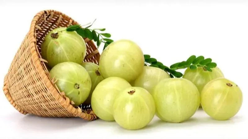 Amla helps you manage blood sugar levels.