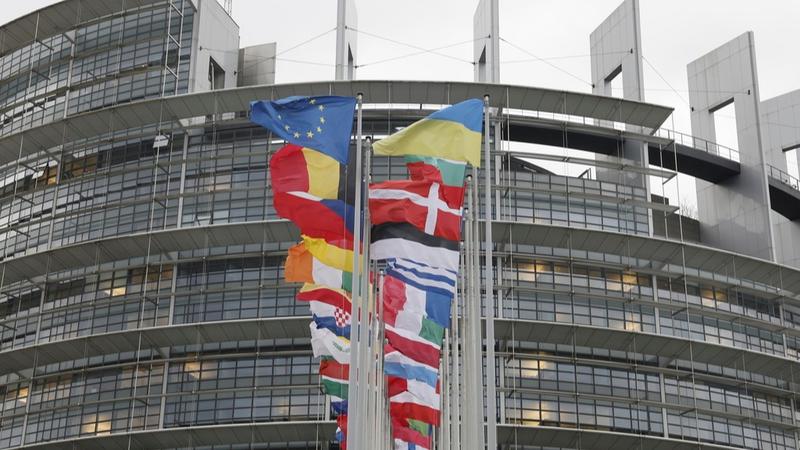 The alleged interference case comes mere weeks ahead of the European Parliamentary polls. 