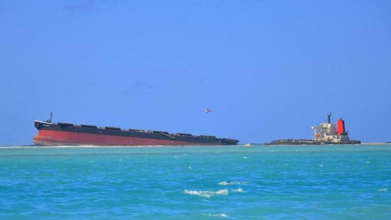 Japan team: coral, mangroves damaged by split ship