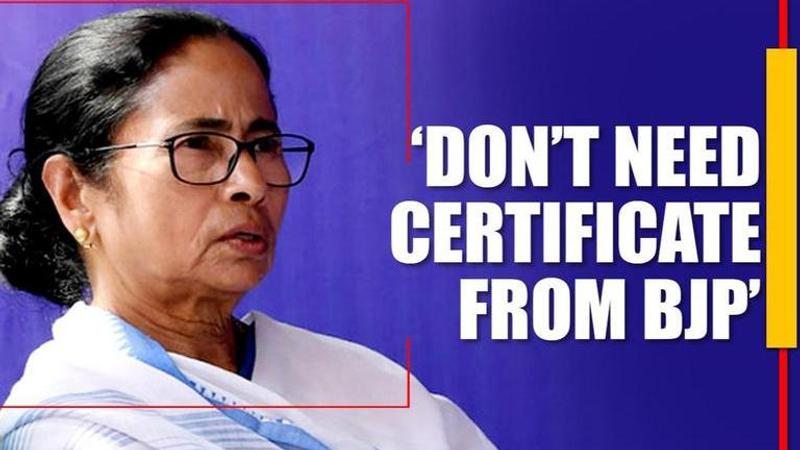 Mamata