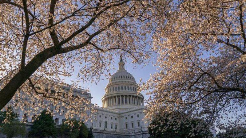 Coronavirus fears change art of shaking hands in US capital