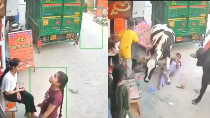 Girls caught in brutal cow fight, video goes viral