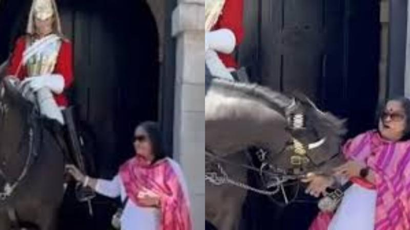 Woman Tourist Posing With Royal Horse, Video Viral