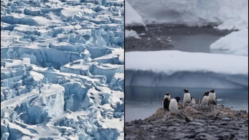 What It Would Be Like To Live Permanently In Antarctica