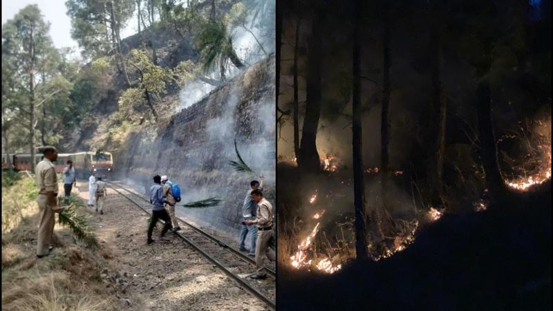 Himachal Forest Fire Halts Kalka-Shimla Train Mid-Journey