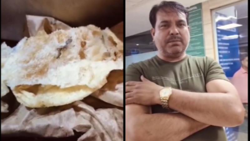 Food Stall Under Fire After Customer Finds Dead Lizard In Chhole Bhature