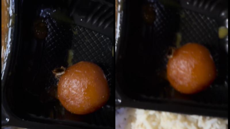 Live Cockroach In Veg Meal Ordered From IRCTC Sparks Outrage On Social Media