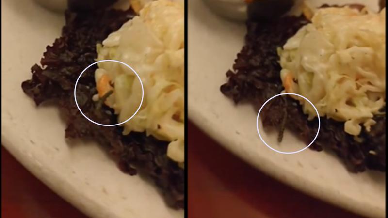 Family Finds Worm Crawling on Kebab Served at Delhi Restaurant