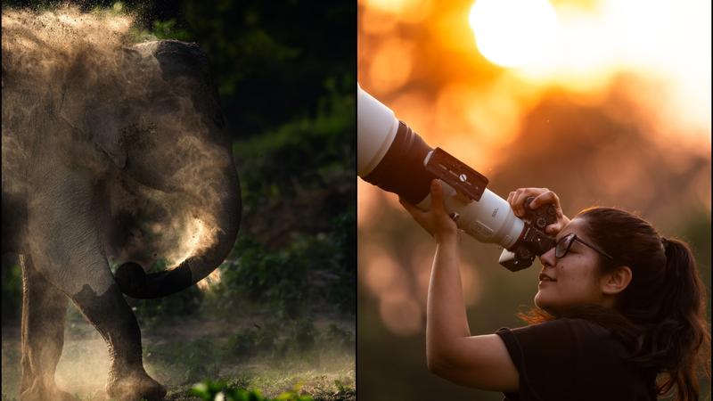 Advocate Turned Wildlife Photographer Documents All The 55 Tiger Reserve