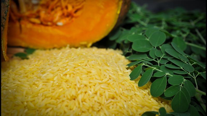 Why Production Of Golden Rice Is Banned In This Country