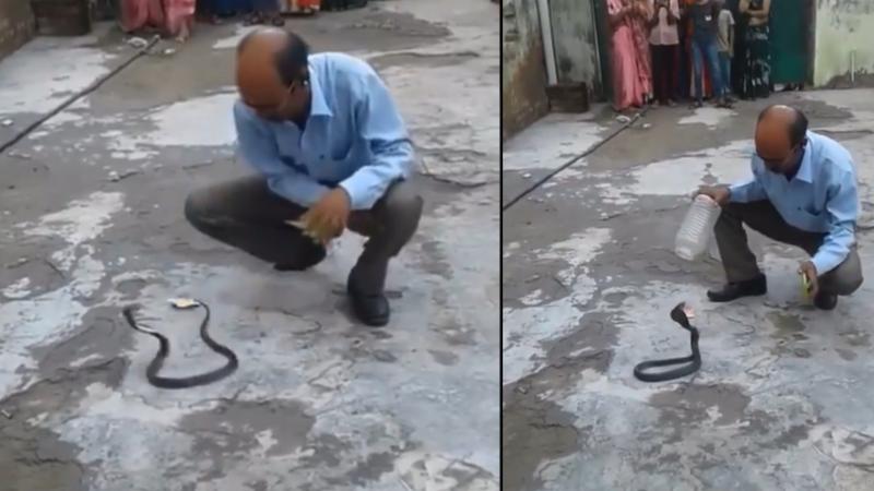 Man Catches Snake in a Plastic Jar, Video Viral
