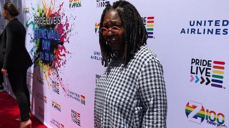 Whoopi Goldberg, whoopi goldberg returns to the view, Whoopi goldberg holocaust remarks