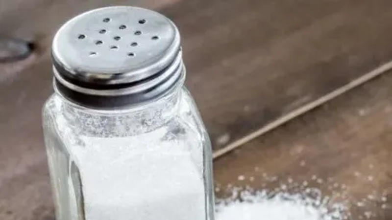 Salt, food alternative