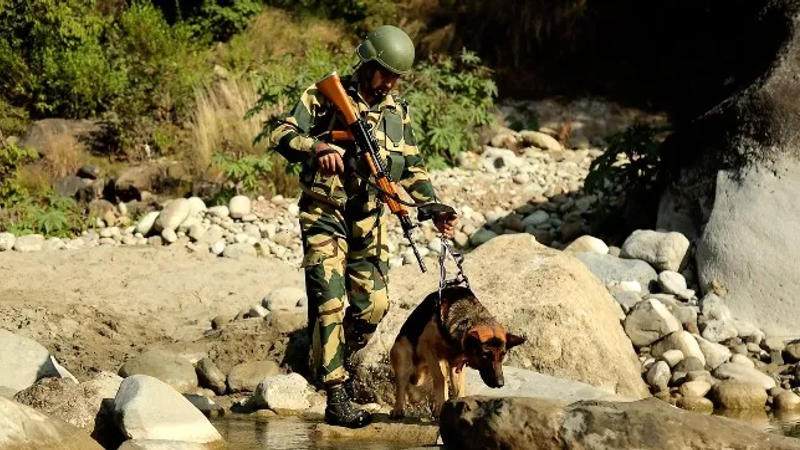 BSF K9 Troop