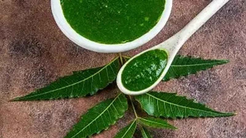 Neem leaves