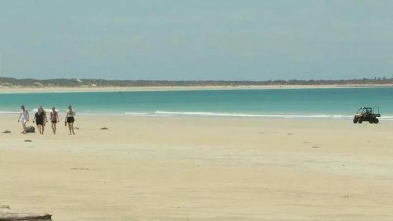 Australia shark attack: Man killed while boarding on Cable beach