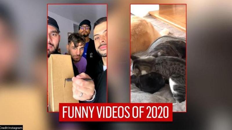 Funniest videos of 2020