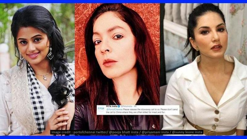 Pooja Bhatt, Priyamani, others react as cat faces deportation to China amid COVID-19 scare