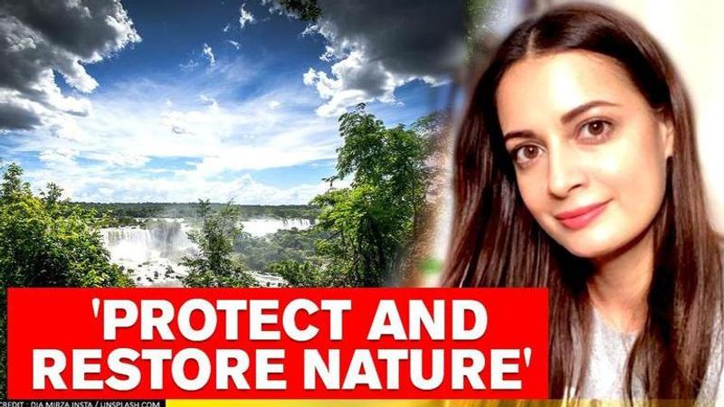 World Nature Conservation Day: Dia Mirza appeal fans to 'build back lives' for nature