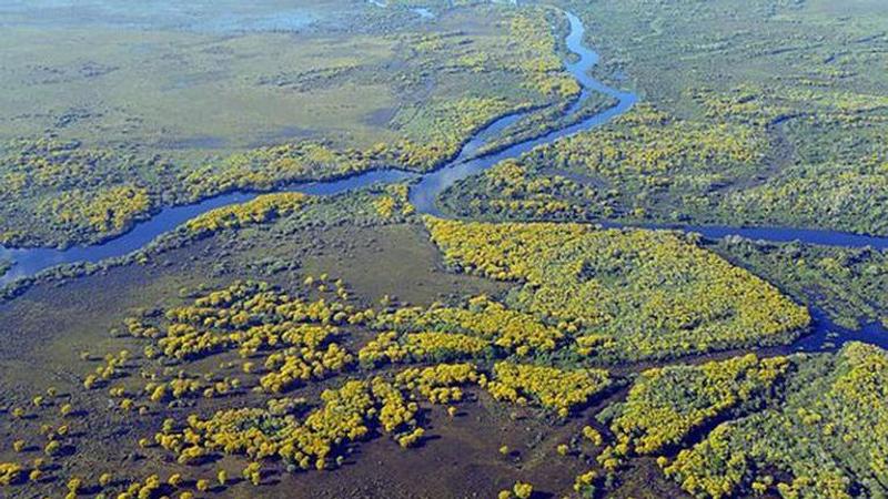 Brazil: Fires at world's largest tropical wetlands increase 201%