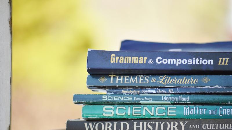 Grammar Day 2024: Know Its History, Significance, And More