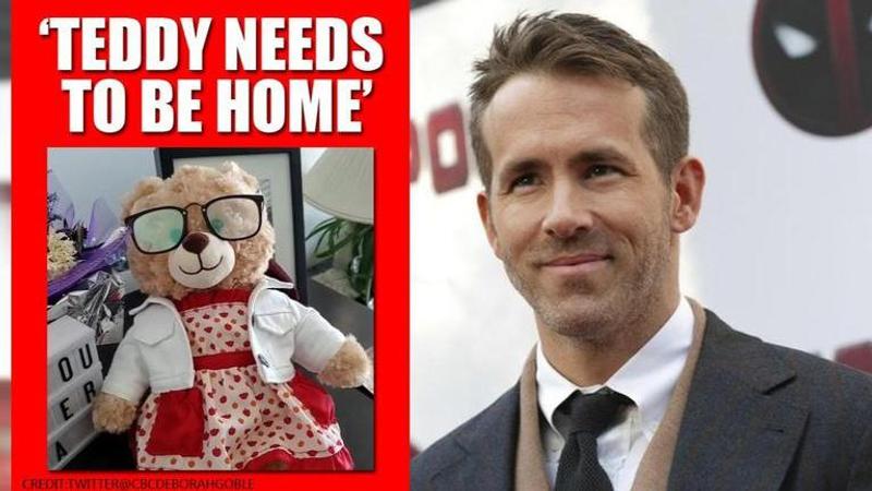 Ryan Reynolds oRyan Reynolds offers cash reward for returning woman's teddy, proud fans praise 'nice guy'ffers cash reward to anyone who returns woman's teddy. Read details