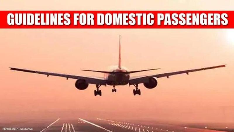 Domestic flight