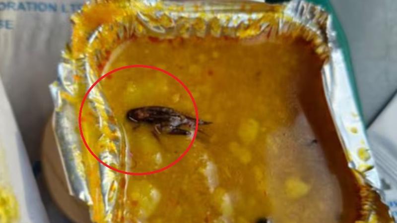 Cockroach found in Vande Bharat meal