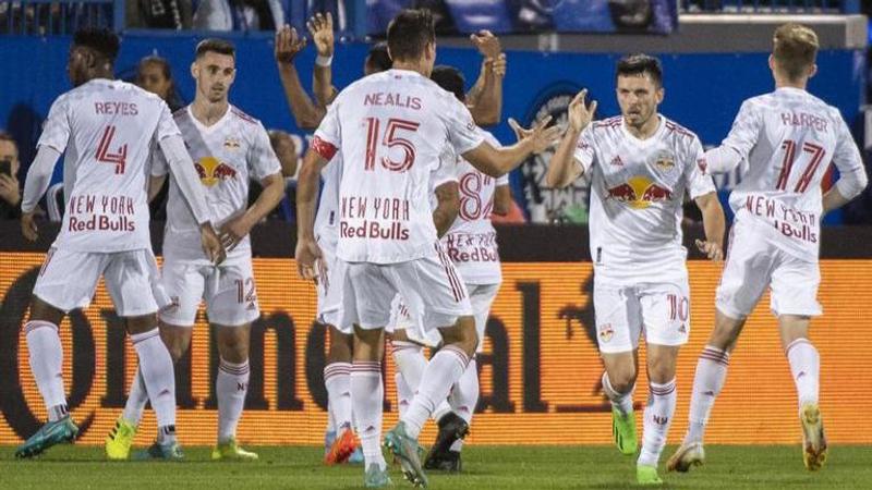 Red Bulls' Vanzeir suspended 6 games for racist language