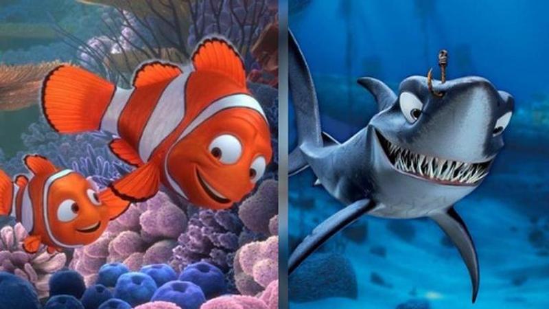 real story behind finding nemo