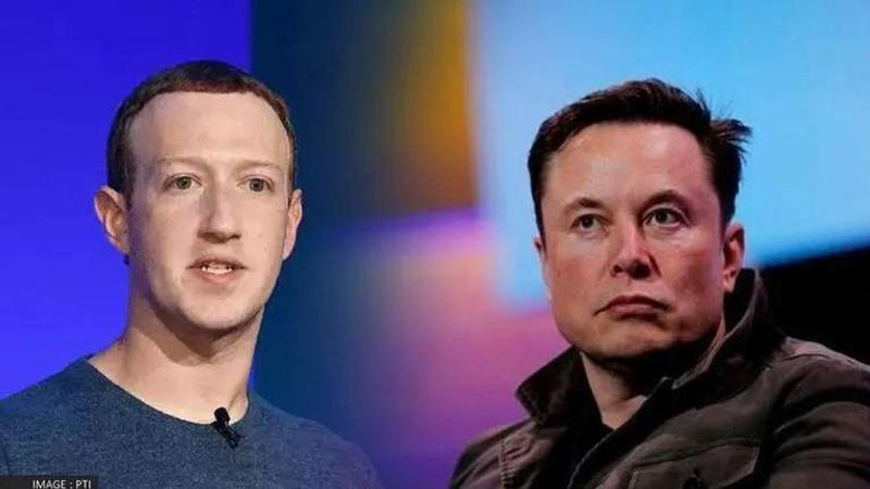 Musk, Zuckerberg