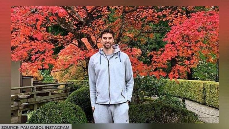 pau gasol