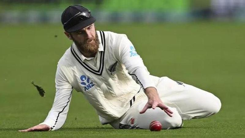 Kane Williamson in action