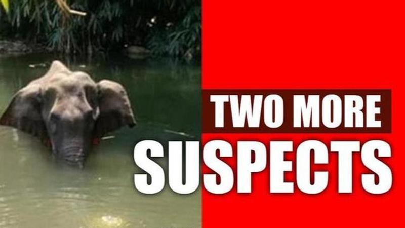 Kerala Elephant death