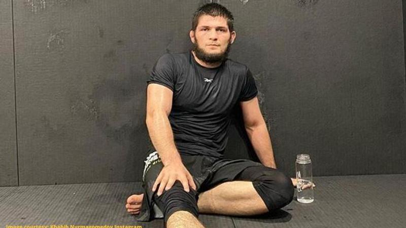 khabib