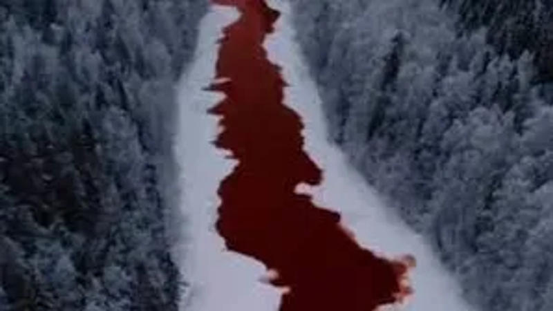Russia’s Iskitimka river turns beetroot-red.