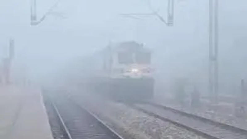 Dense Fog Blankets Delhi, Train Service Hit Amid Low Visibility ...