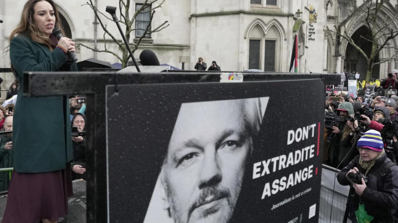 Julian Assange's Case