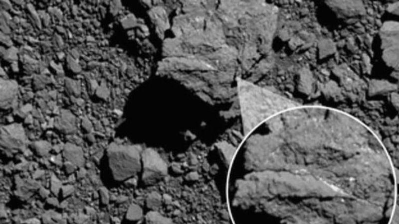 Asteroid Bennu contains crucial component of RNA, block of 'life': Study