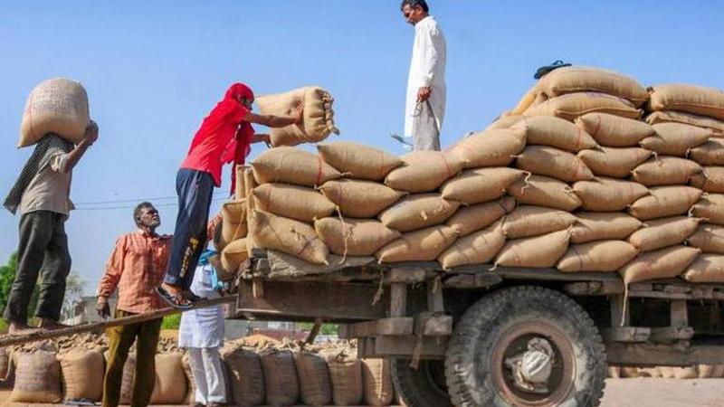 Punjab CM wants change in criteria for distribution of chana among migrants