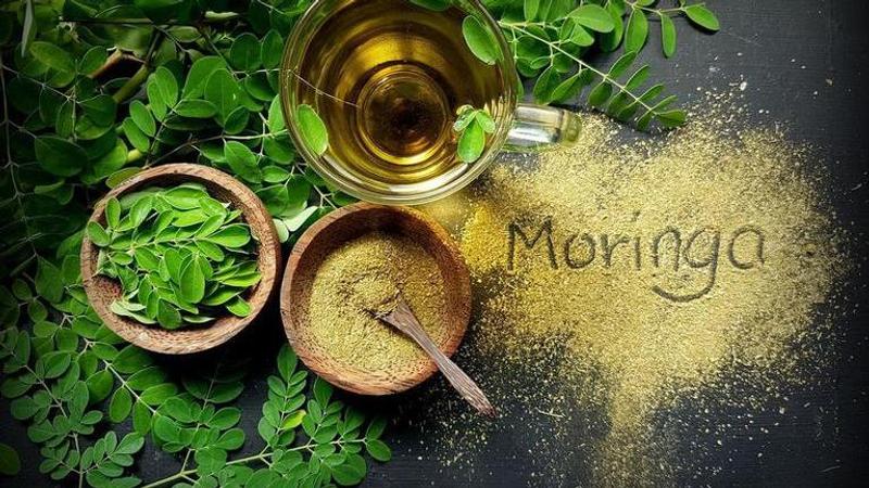 Moringa Tea