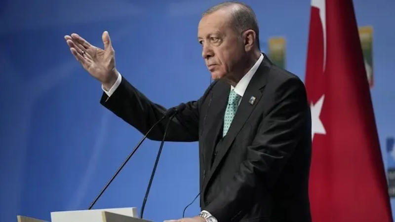 Turkey Erdogan Syria Iraq Strikes