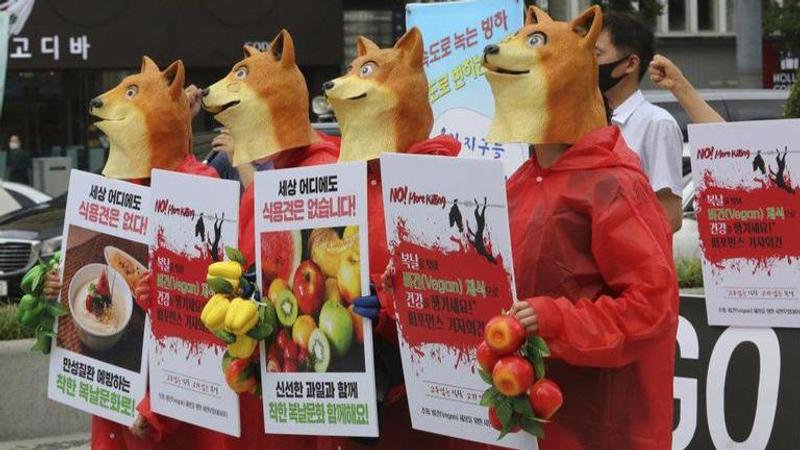 Mock funeral for dog held in South Korea on 'dog meat day'