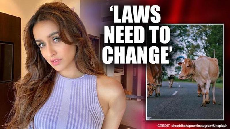 Shraddha Kapoor shares another incident of animal cruelty, demands stricter laws