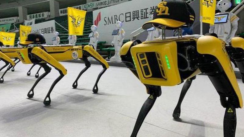 Japan: Dancing robots replace human audience in stadiums amid pandemic