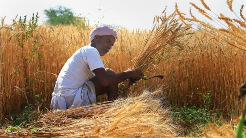 Farmer