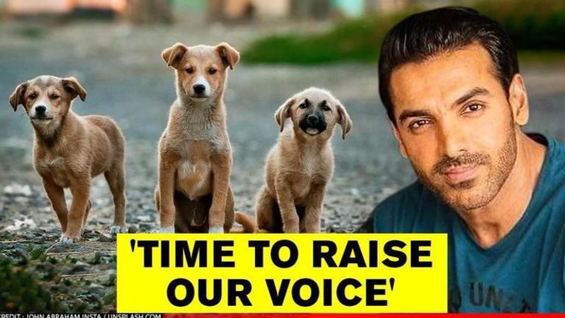 John Abraham raises his voice for a surge in fine against animal cruelty